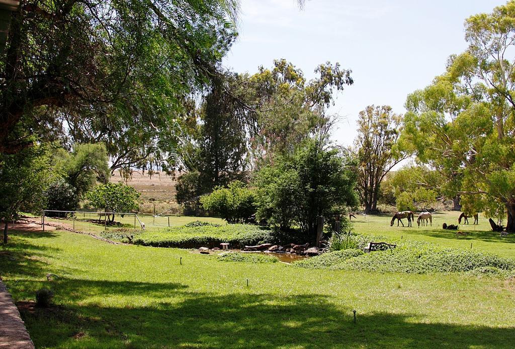 Garingboom Guest Farm Villa Springfontein Eksteriør billede