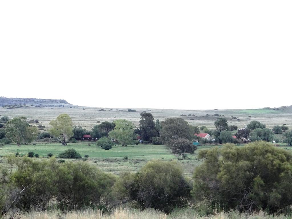 Garingboom Guest Farm Villa Springfontein Eksteriør billede